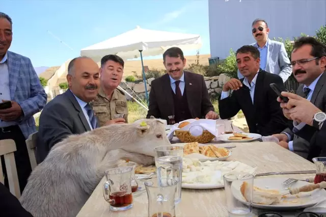Protokol masasının davetsiz misafiri Protokol masasının davetsiz misafiri