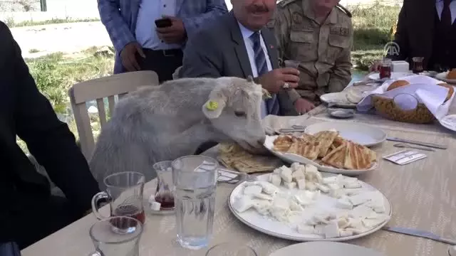 Protokol masasının davetsiz misafiri Protokol masasının davetsiz misafiri