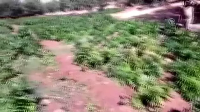 Terör örgütü PKK'nın finans kaynağına büyük darbe Terör örgütü PKK'nın finans kaynağına büyük darbe