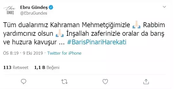 Ünlü isimlerden Barış Pınarı Harekatı'na destek