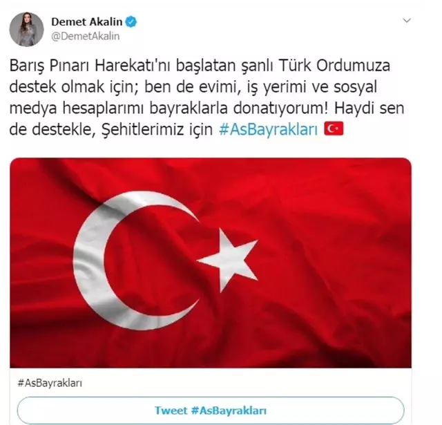 Ünlü isimlerden Barış Pınarı Harekatı'na destek