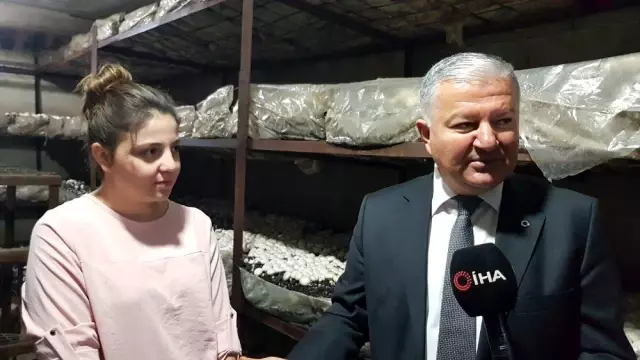 Mantarlarını aşkla üretiyorlar Mantarlarını aşkla üretiyorlar