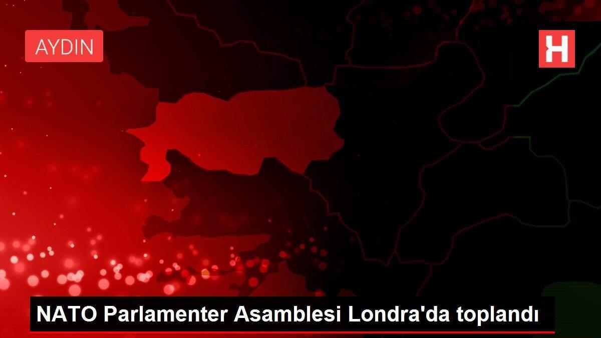 NATO Parlamenter Asamblesi Londra'da toplandı NATO Parlamenter Asamblesi Londra'da toplandı