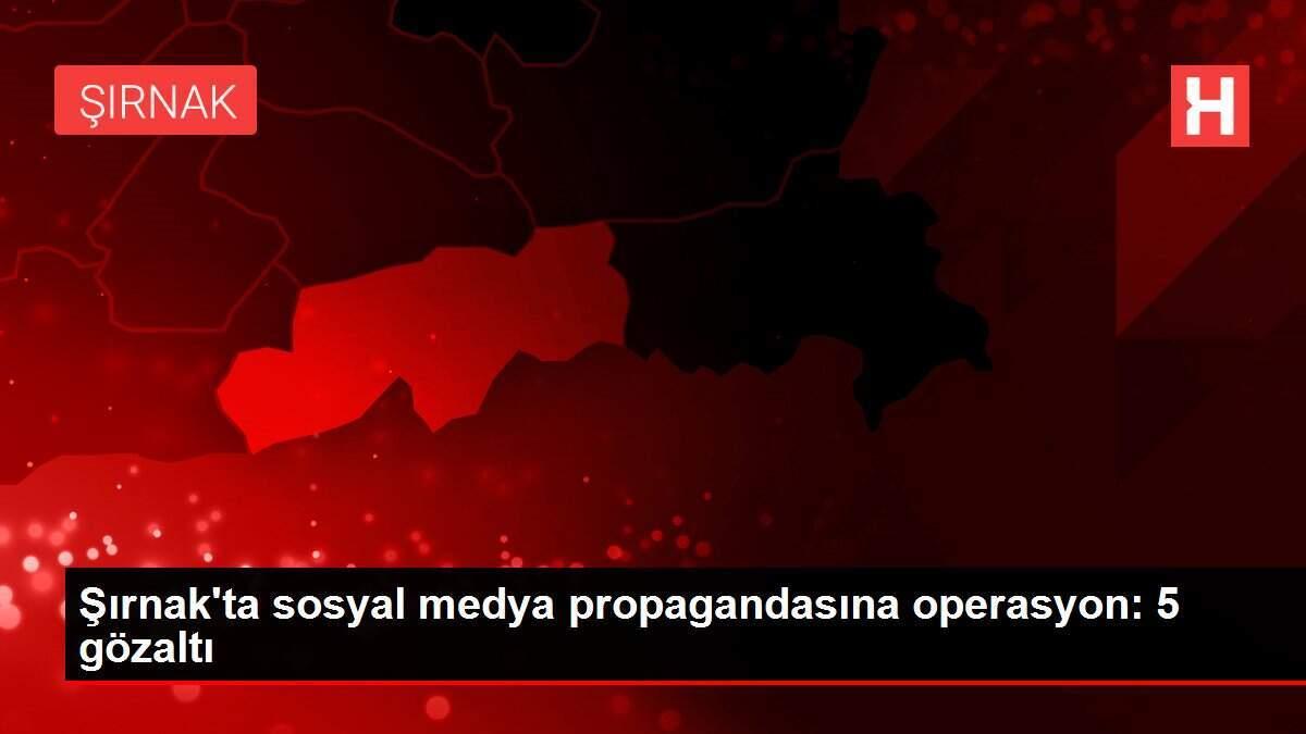 Şırnak'ta sosyal medya propagandasına operasyon: 5 gözaltı