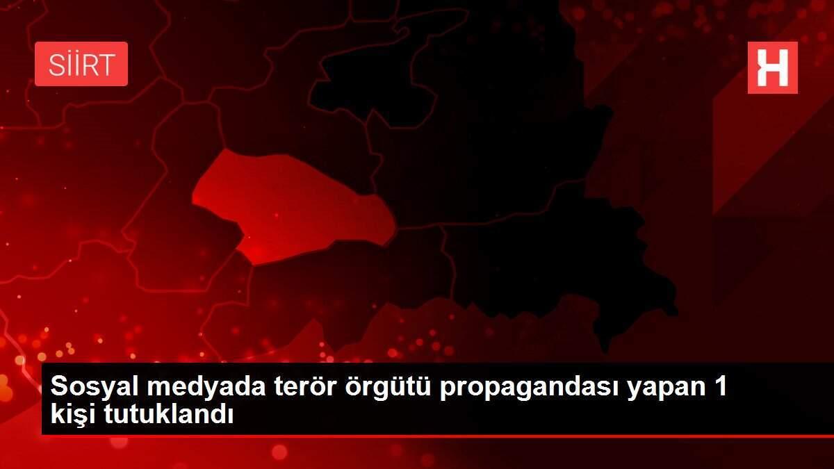Sosyal medyada terör örgütü propagandası yapan 1 kişi tutuklandı Sosyal medyada terör örgütü propagandası yapan 1 kişi tutuklandı