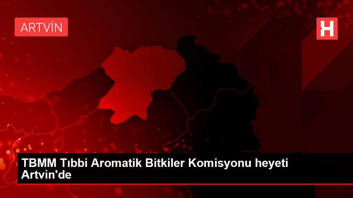 TBMM Tıbbi Aromatik Bitkiler Komisyonu heyeti Artvin'de TBMM Tıbbi Aromatik Bitkiler Komisyonu heyeti Artvin'de