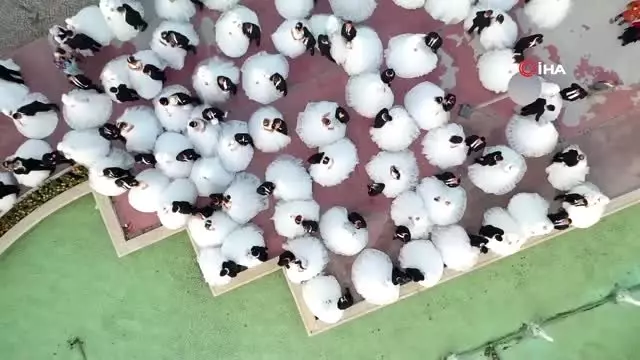 Büyükşehir'den 219 çifte toplu nikah töreni Büyükşehir'den 219 çifte toplu nikah töreni