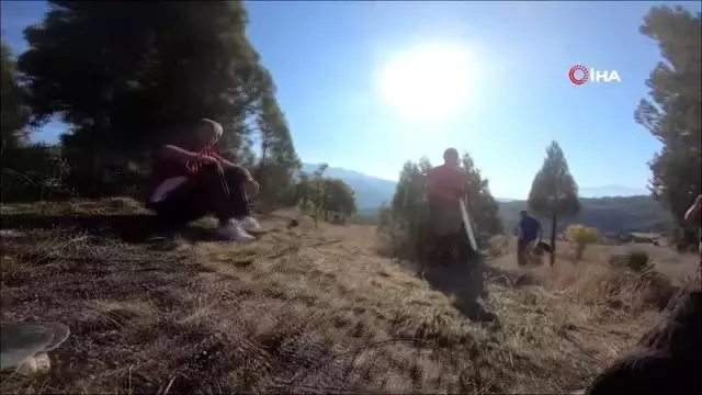 Kaymakamdan definecilere suçüstü... Neye uğradıklarını şaşırdılar Kaymakamdan definecilere suçüstü... Neye uğradıklarını şaşırdılar