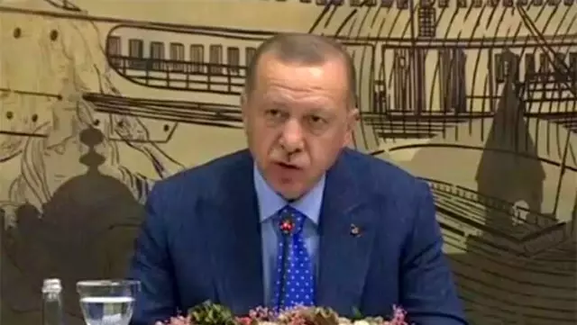 Cumhurbaşkanı Erdoğan: Barış Pınarı Harekatı'nda 490 terörist etkisiz hale getirildi