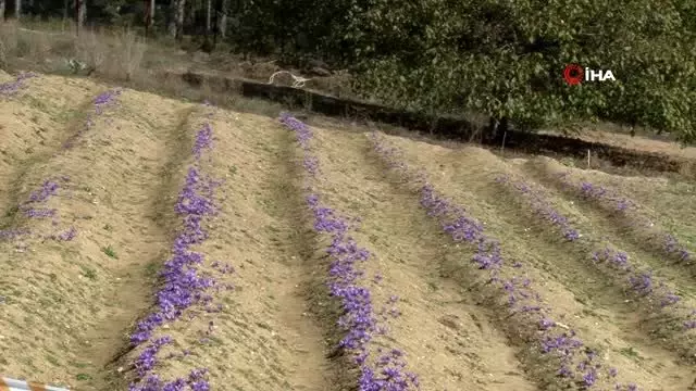 Turistlerin yeni gözdesi