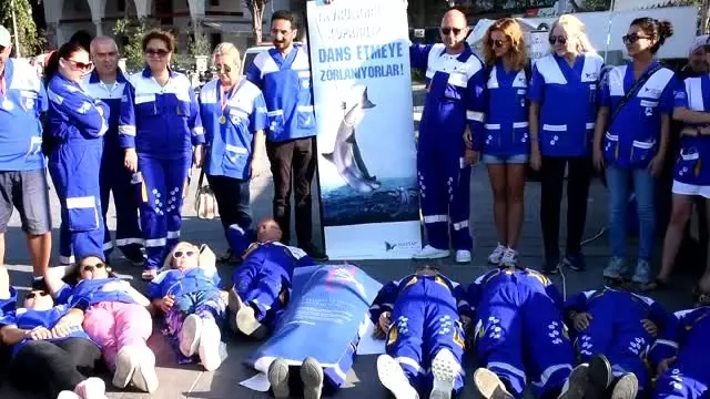 Yere yatıp yunus parklarını protesto ettiler Yere yatıp yunus parklarını protesto ettiler