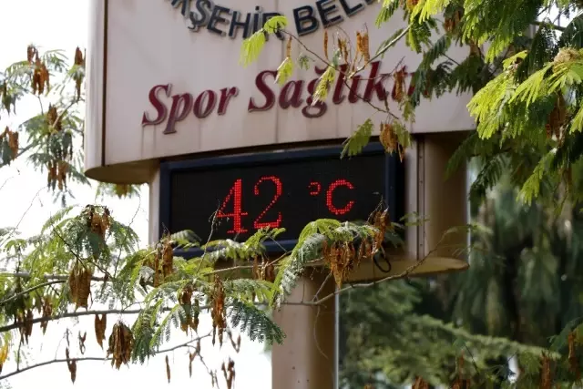 Adana'da termometreler 42 dereceyi gördü