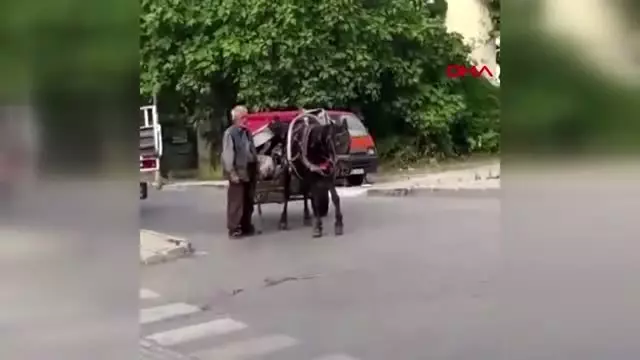 Ayağı sakat atla hurda toplayan kişiye tepki Ayağı sakat atla hurda toplayan kişiye tepki