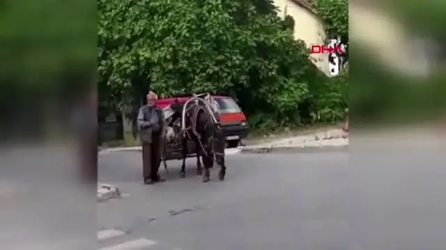 Ayağı sakat atla hurda toplayan kişiye tepki Ayağı sakat atla hurda toplayan kişiye tepki