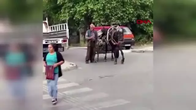 Ayağı sakat atla hurda toplayan kişiye tepki Ayağı sakat atla hurda toplayan kişiye tepki