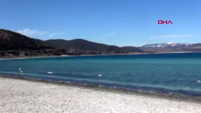 Burdur valisi şıldak salda'ya el sürenin elini kırarlar Burdur valisi şıldak salda'ya el sürenin elini kırarlar