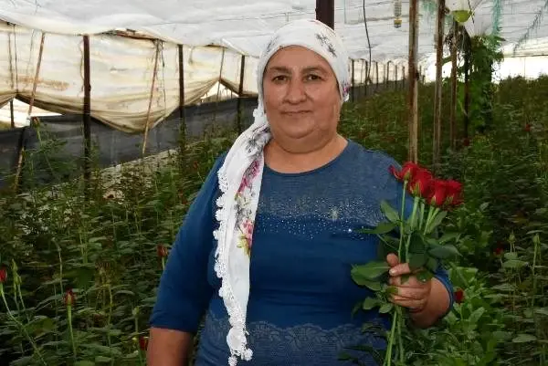 Ekmek parası için gülün dikenine katlanıyorlar Ekmek parası için gülün dikenine katlanıyorlar