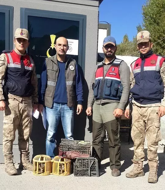 Gürpınar ve Gevaş'ta kafes avcısı jandarmaya takıldı Gürpınar ve Gevaş'ta kafes avcısı jandarmaya takıldı