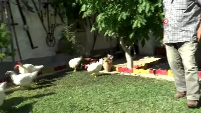 Hayatını kaybeden annesinin isteğini yıllar sonra yerine getirdi Hayatını kaybeden annesinin isteğini yıllar sonra yerine getirdi