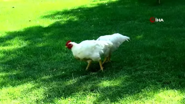 Hayatını kaybeden annesinin isteğini yıllar sonra yerine getirdi Hayatını kaybeden annesinin isteğini yıllar sonra yerine getirdi