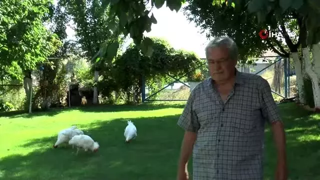 Hayatını kaybeden annesinin isteğini yıllar sonra yerine getirdi Hayatını kaybeden annesinin isteğini yıllar sonra yerine getirdi