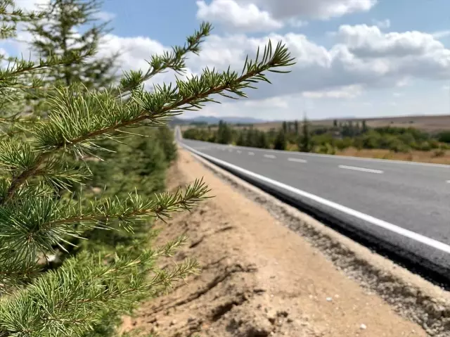 Kırşehir'de asfaltlama çalışmaları