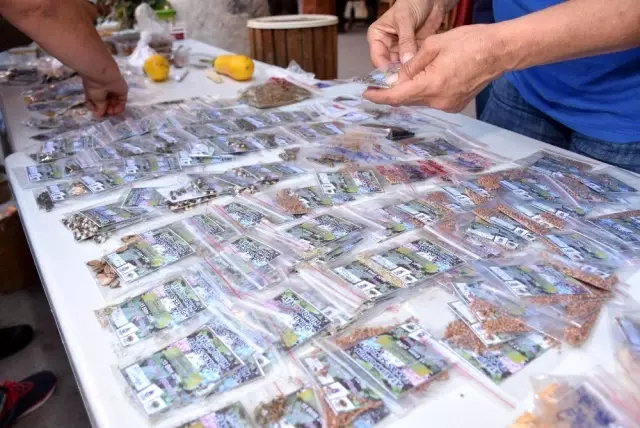 Şehzadeler Atalık Tohum Takas Şenliği düzenledi