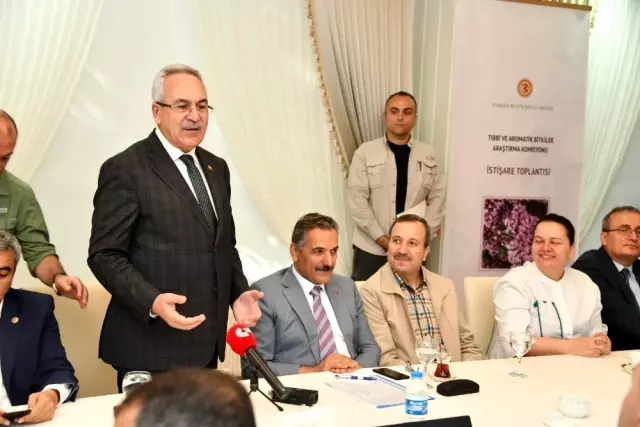 Tıbbi ve aromatik bitkide hedef 5 milyar dolar