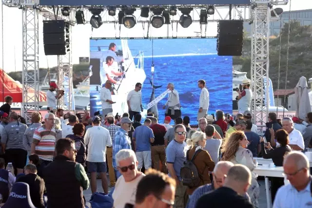 Usta balıkçılar Tuna Masters'ta yarıştı Usta balıkçılar Tuna Masters'ta yarıştı