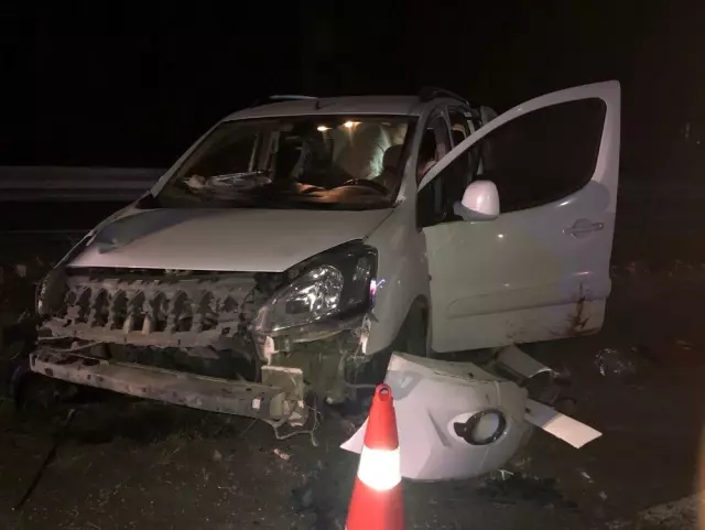 Yola çıkan domuz 3 ayrı kazaya neden oldu: 6 yaralı Yola çıkan domuz 3 ayrı kazaya neden oldu: 6 yaralı
