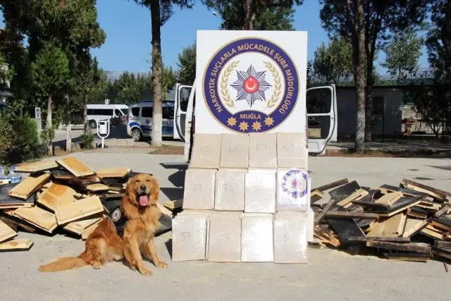 120 milyon liralık uyuşturucu şüphelileri adliyeye sevk edildi