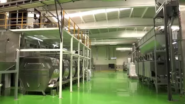 Antep fıstığında katma değerli üretim için 6,5 milyon dolarlık yatırım Antep fıstığında katma değerli üretim için 6,5 milyon dolarlık yatırım