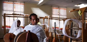 Avustralya'nın Merinos yününü, Etiyopyalı kadınlar dokuyacak