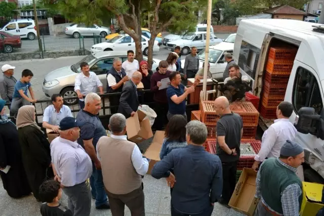 Çiftçilere yumurta tavuğu dağıtıldı Çiftçilere yumurta tavuğu dağıtıldı