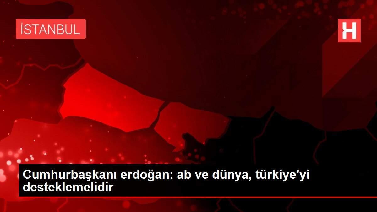 Cumhurbaşkanı erdoğan: ab ve dünya, türkiye'yi desteklemelidir