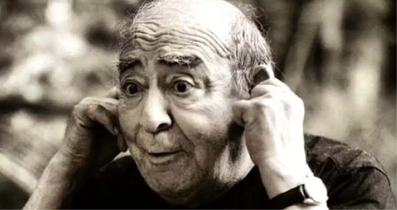Erol Günaydın'ın 7. ölüm yıl dönümü! Erol Günaydın kimdir?