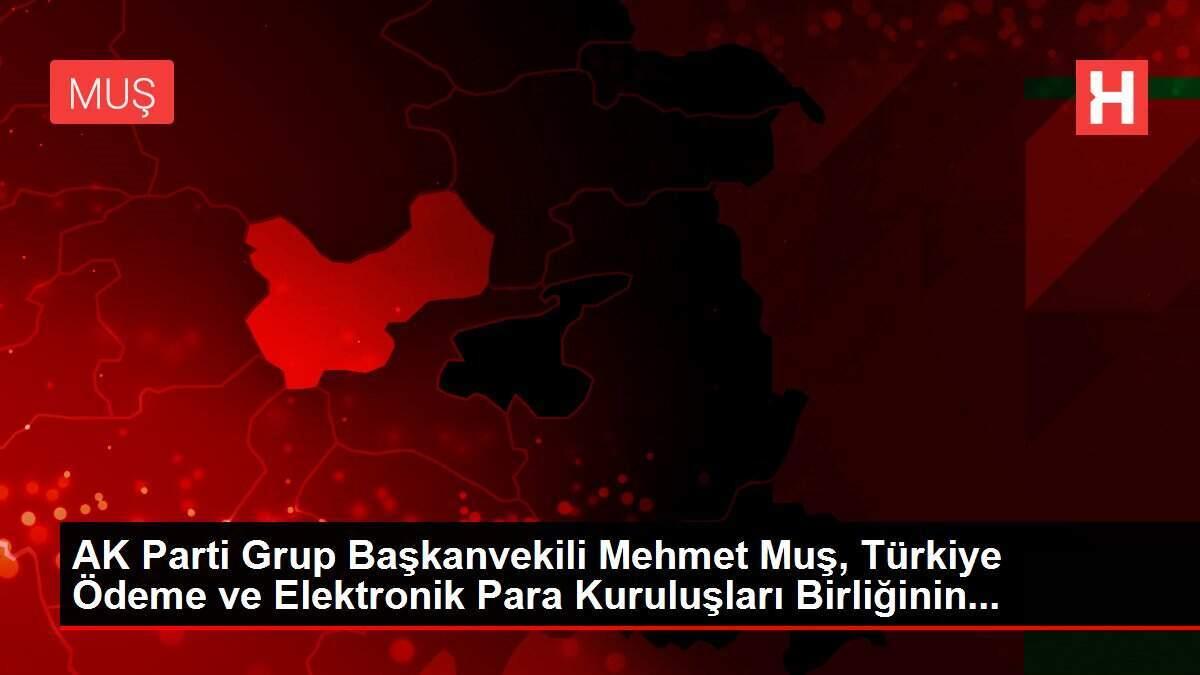 AK Parti Grup Başkanvekili Mehmet Muş, Türkiye Ödeme ve Elektronik Para Kuruluşları Birliğinin... AK Parti Grup Başkanvekili Mehmet Muş, Türkiye Ödeme ve Elektronik Para Kuruluşları Birliğinin...