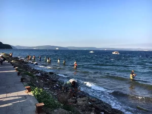 Bellerine kadar denize girip, lüfer avladılar Bellerine kadar denize girip, lüfer avladılar