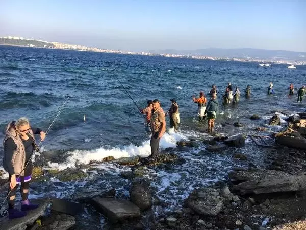 Bellerine kadar denize girip, lüfer avladılar Bellerine kadar denize girip, lüfer avladılar