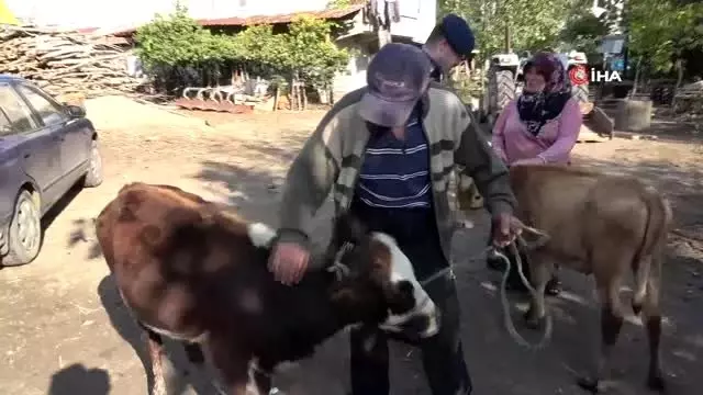 Çalınan büyükbaş hayvanlarına kavuşan vatandaşların sevinci Çalınan büyükbaş hayvanlarına kavuşan vatandaşların sevinci