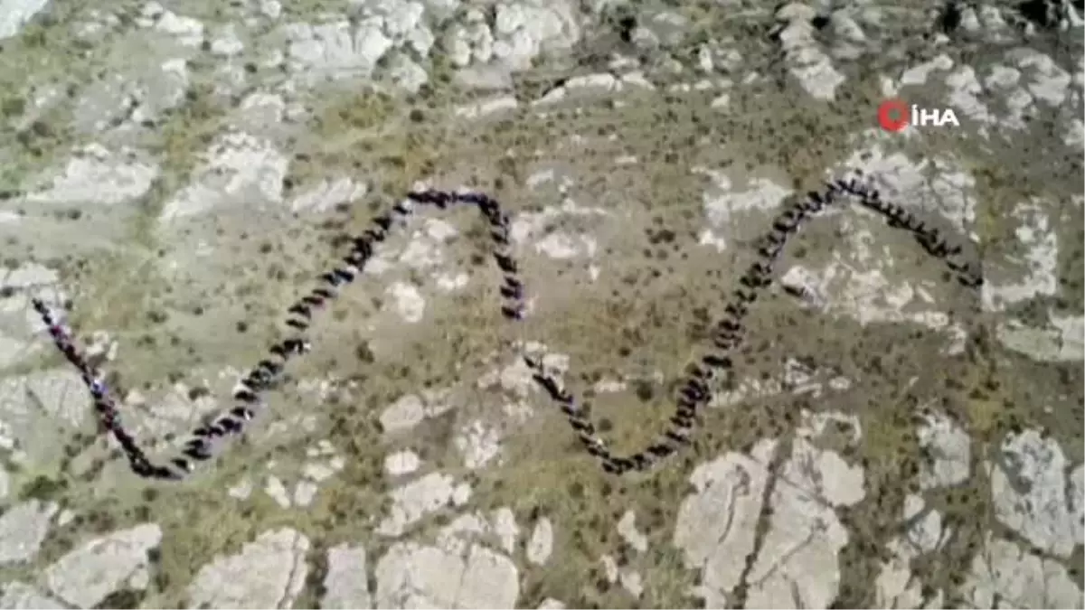 Dağcılar Van Gölü'nün temiz kalması için tırmanmaya devam ediyor