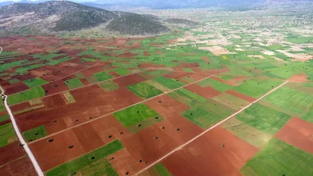 Denizli'de modern sulama sistemiyle 630 milyon TL tasarruf sağlandı Denizli'de modern sulama sistemiyle 630 milyon TL tasarruf sağlandı