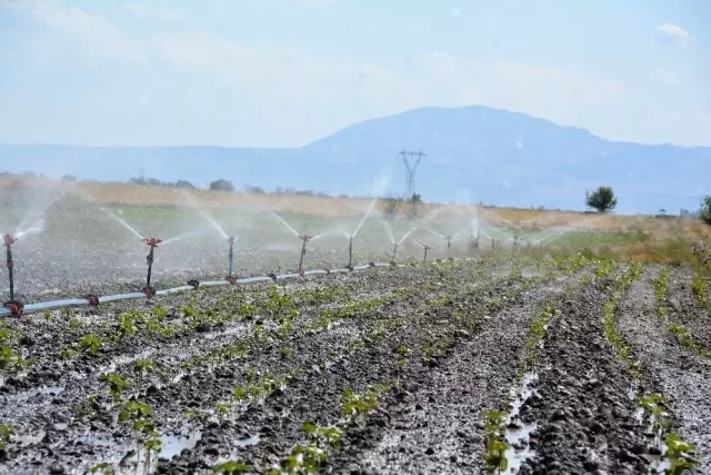 Denizli'de modern sulama sistemiyle 630 milyon TL tasarruf sağlandı Denizli'de modern sulama sistemiyle 630 milyon TL tasarruf sağlandı