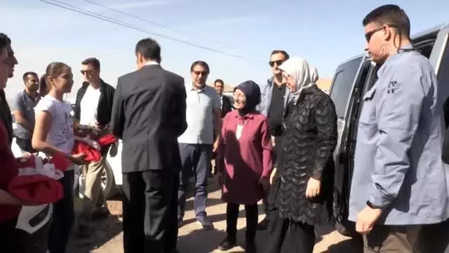 Derik zeytininin hasadı başladı Derik zeytininin hasadı başladı