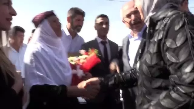 Derik zeytininin hasadı başladı Derik zeytininin hasadı başladı
