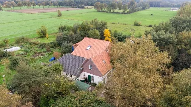 Hollanda'da evin bodrumunda kıyameti bekleyen aile kurtarıldı