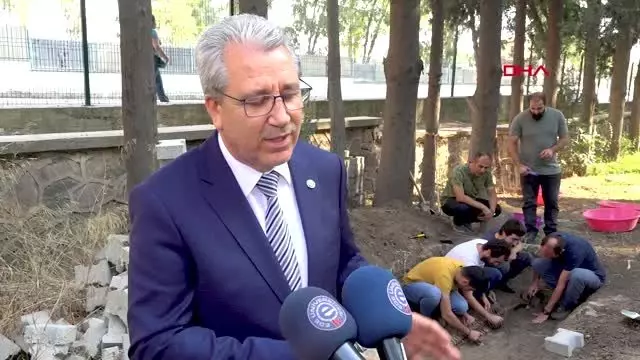 İzmir şişe burunlu yunus iskeleti topraktan çıkarıldı İzmir şişe burunlu yunus iskeleti topraktan çıkarıldı