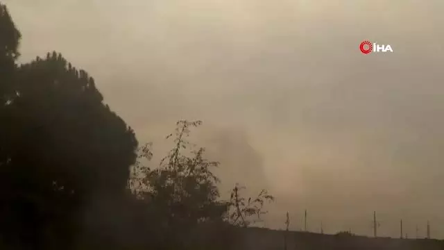 - Lübnan'da aşırı sıcaklar yangına neden oldu: 1 ölü