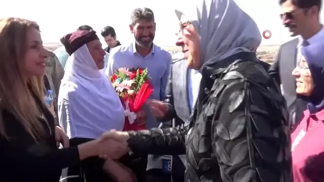 Ödüllü Derik zeytininde hasat sezonu başladı Ödüllü Derik zeytininde hasat sezonu başladı