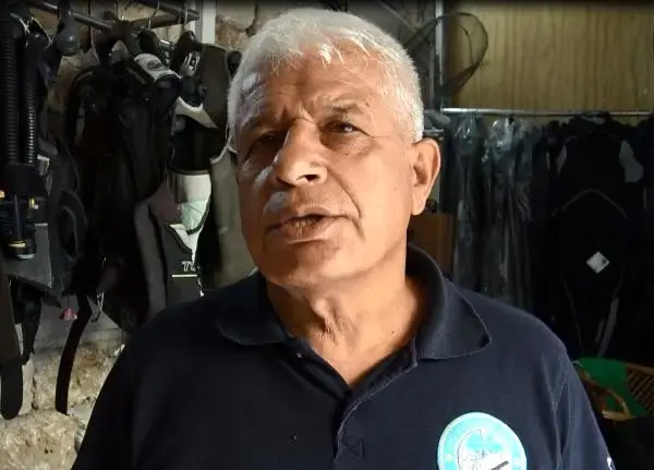 Yüzlerce balon balığı ağa takıldı (2) Yüzlerce balon balığı ağa takıldı (2)